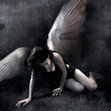 Fallen Angels