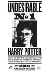 The Great Harry Potter Re-Read Adventure
