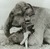 elephant readers 2013