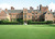 The Tamugean School for the Gifted