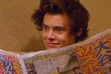 200 Pages in and the Bird Still Hasn't 1Died Book Club