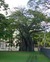 Baobab Book Group