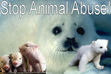 <Against Animal Cruelty>