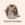 Blogs Follow For Follow