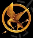 The Hunger Games Intense