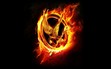 The Hunger Games {Role Play}