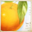 8/1 - ORANGE