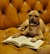 Drinking Club with a Reading Problem