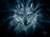 Wolf Spirit Within