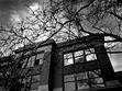 Shadow University