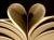 Unhealthy Book Addiction
