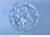 Infertility and Surrogacy