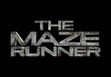 The Maze Runner (Role Play)