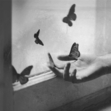 ♛ＡＦＴＥＲＷＯＲＬＤ♛