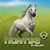 The Goodreads Howrse Team!