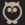 bookowl- for new and aspiring writers.
