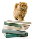 CCL4L Book Club