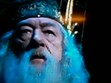 DUMBLEDORE FORVER