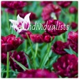 The Individualists