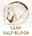 Camp Half~Blood