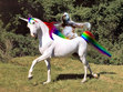 The Mashed Potato Dancing Sloths with a Pet Unicorn