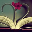 All About The Books