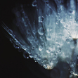 A Death in Summer ❧ An Advanced Roleplay
