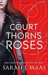 YA Book Devours 
