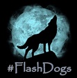 FlashDogs