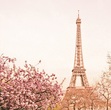 ✧ paris ✧