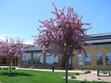 Saint Peter Public Library Reads