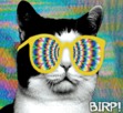 BIRP Buddies