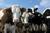 Profitable Livestock Farming
