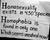 SAGE: Sexuality and Gender Equality
