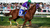 Racehorse RP