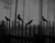 Terror, Horror, Suspense & Apocalipse