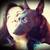 The Zen Paws Dog Lover Bookclub