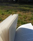 Reading & Rambling
