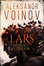Aleksandr Voinov's Group