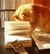 The Reviews Community for Indie Books