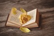 Classics & Literature Reading Group