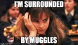 Yer A Lizard 'Arry