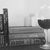 Wine, Women and Words