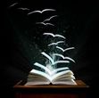 In A Bookish Reverie