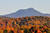 Green Mountain Book Club