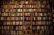 YA Book Lovers`