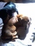 Salchi Pensamientos Dachshund