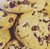 Chocolate Chip Cookie Gang