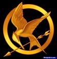 Hunger Games Fans!
