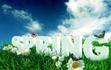 Springtime Sevies